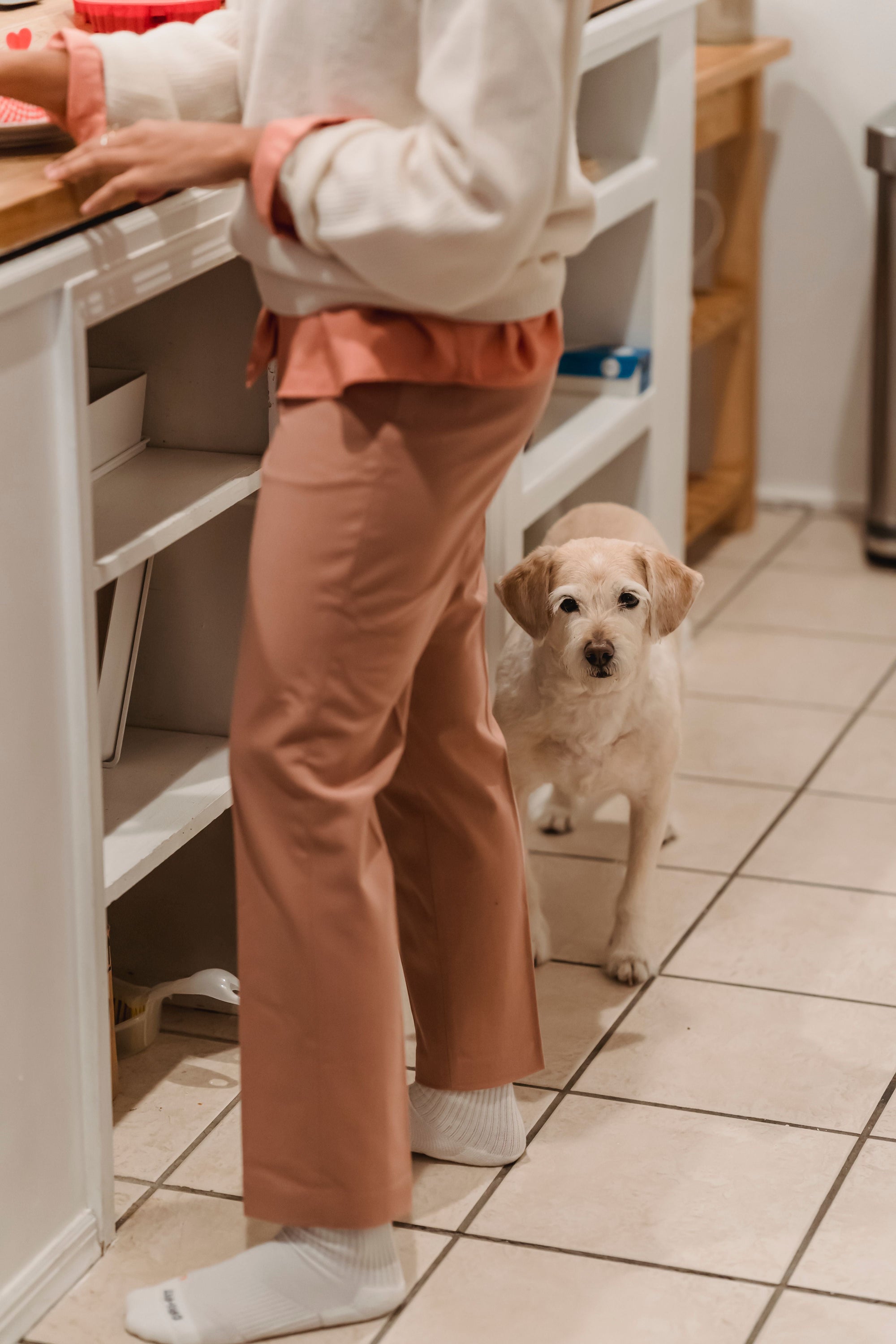 Why Does My Dog Follow Me Everywhere?
