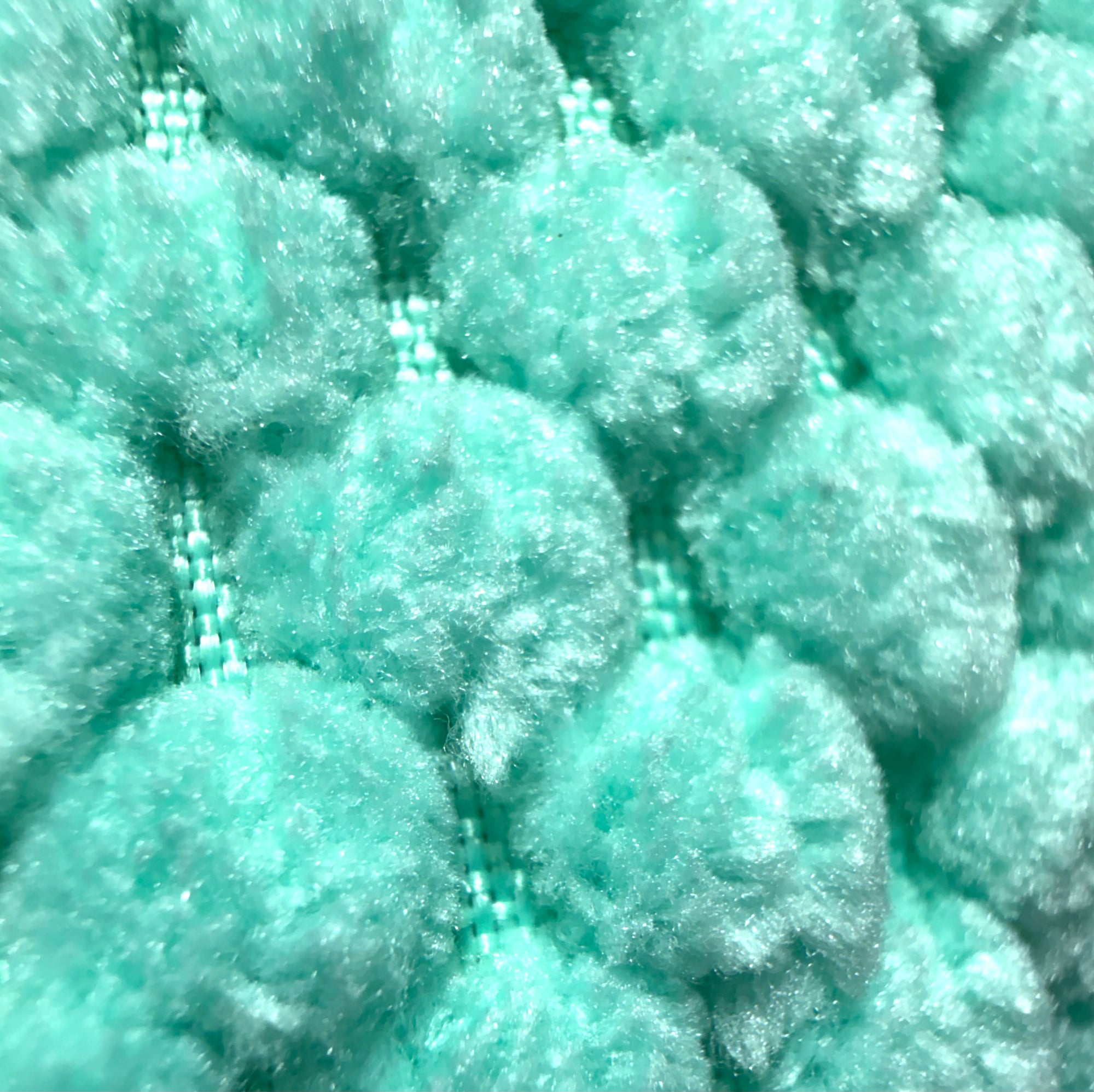 Octopus Plush Dog Toy | Squeaky Toy for Interactive Fun - Pawlipop