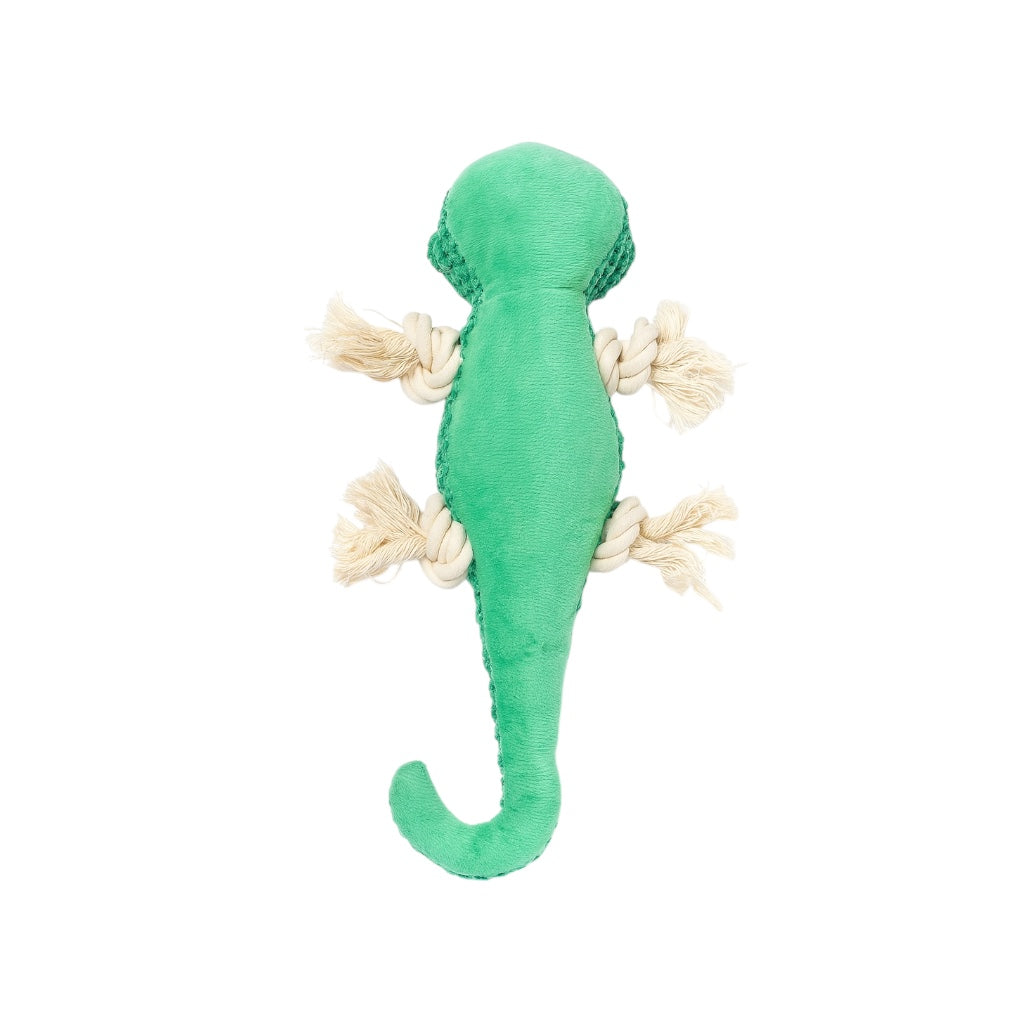 Raff the Gecko, Plushie Rope Dog Toy - Pawlipop