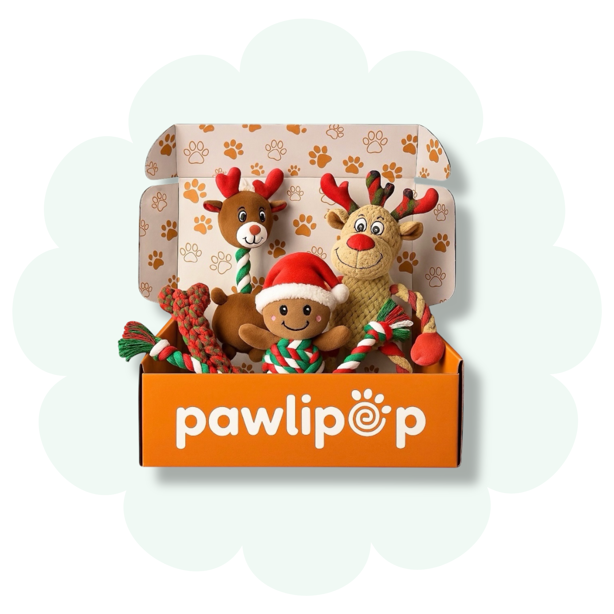 Christmas Box Dog Toy Box