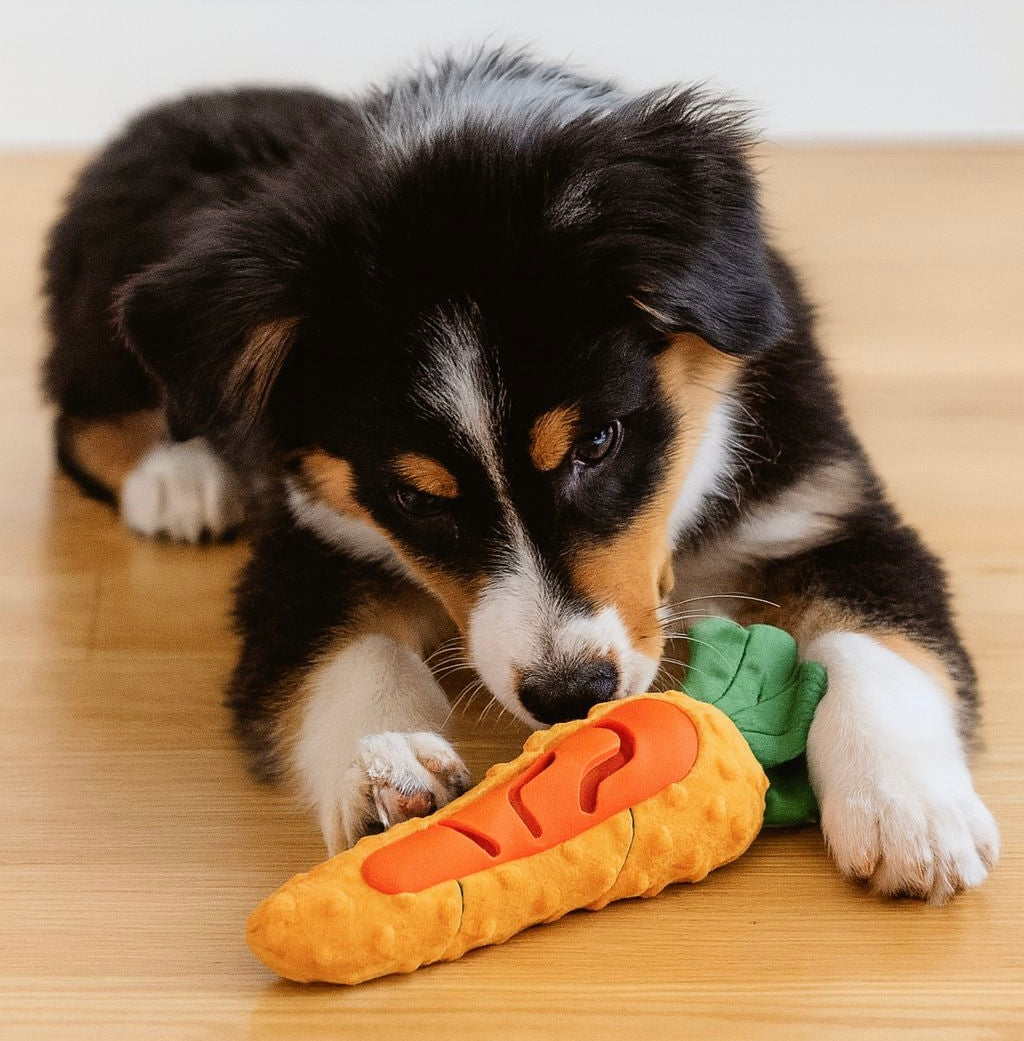 Puppy playing with a Pawlipop interactive treat-dispenser dog toy shaped like a carrot, plush and chew.