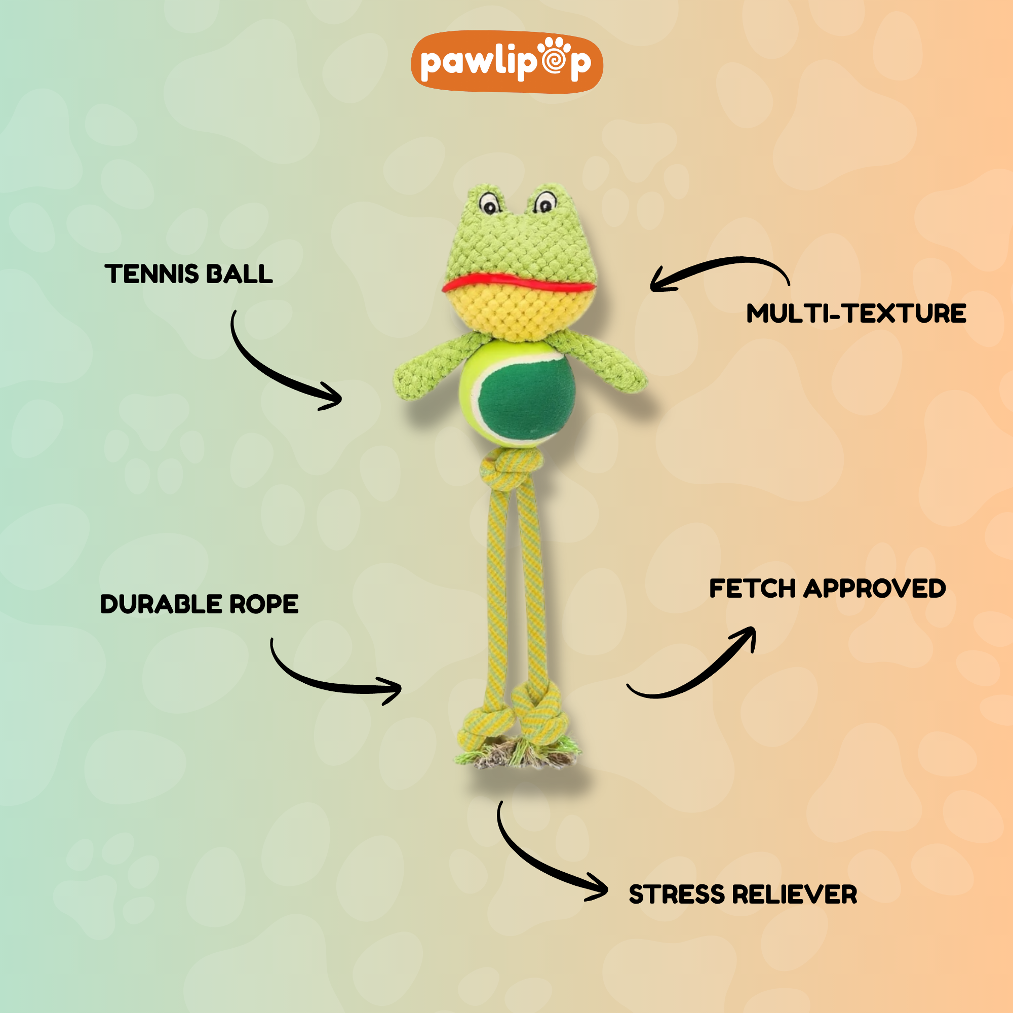 Freddy the Frog Dog toy features.