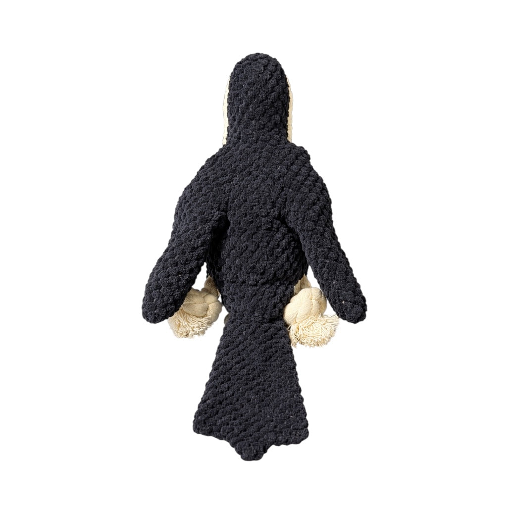 Toucan Plush Dog Toy | Squeaky Jungle Bird Toy - Pawlipop