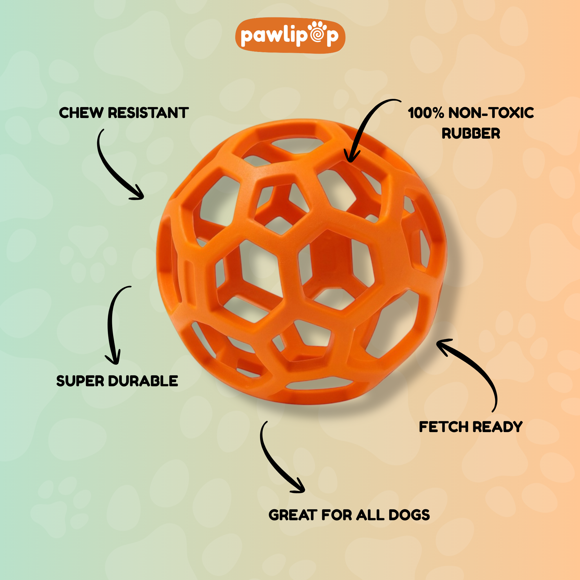 PawIipop Interactive Rubber Dog Toy Ball features