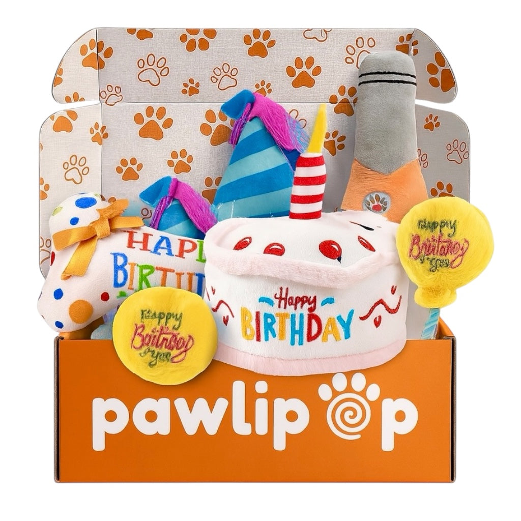 Pawlipop dog toys box Birthday Party themed with a cake, balloon, bottle, and hat toys. Interactive, rope, plush, squeaky, and chew toys