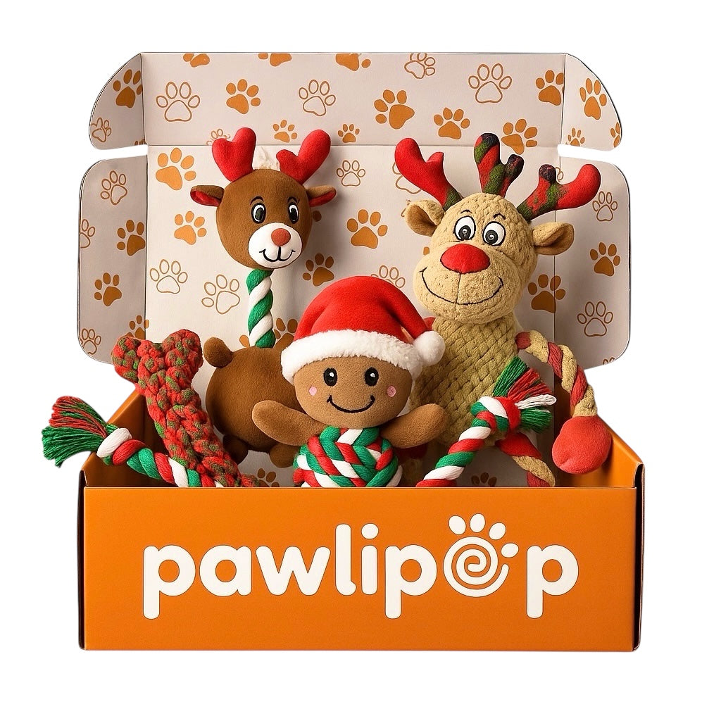 Pawlipop dog toys box Christmas themed with a reindeer, bone, ropes, and Christmas related toys . Interactive, rope, plush, squeaky, and chew toys  