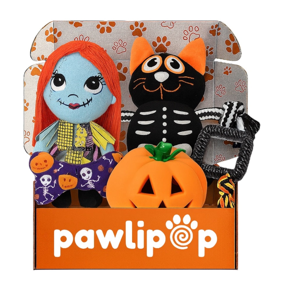 Pawlipop dog toys box Halloween themed with a cat, sally, pumpkin, bone, and orange rope toys. Interactive, rope, plush, squeaky, and chew toys