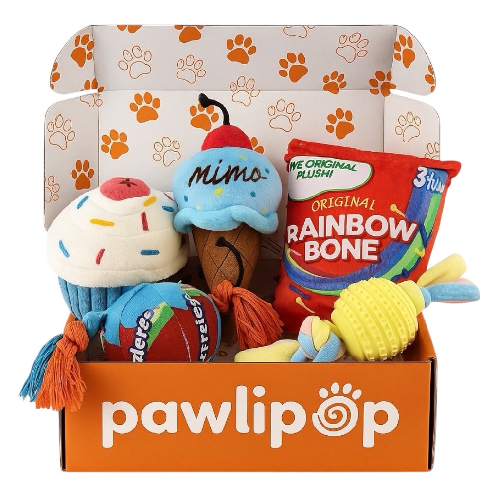 Pawlipop dog toy box Sweet Tooth themed with "rainbow bone", cupcake, ice cream, and ball. Interactive, rope, plush, squeaky, and chew toys      