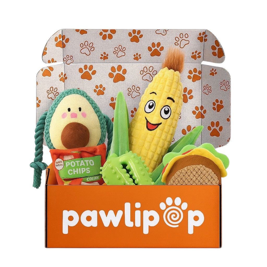 Pawlipop taco box with avocado, corn, taco, potato chips, and green pepper, plush, rope and chew dog toys