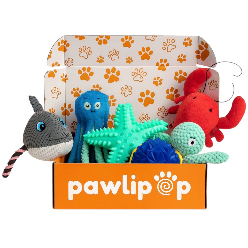 Pawlipop dog toy box Beach Vibes themed with a lobster, turtle, octopus, sea star, and shark. Interactive, rope, plush, squeaky, and chew toys.