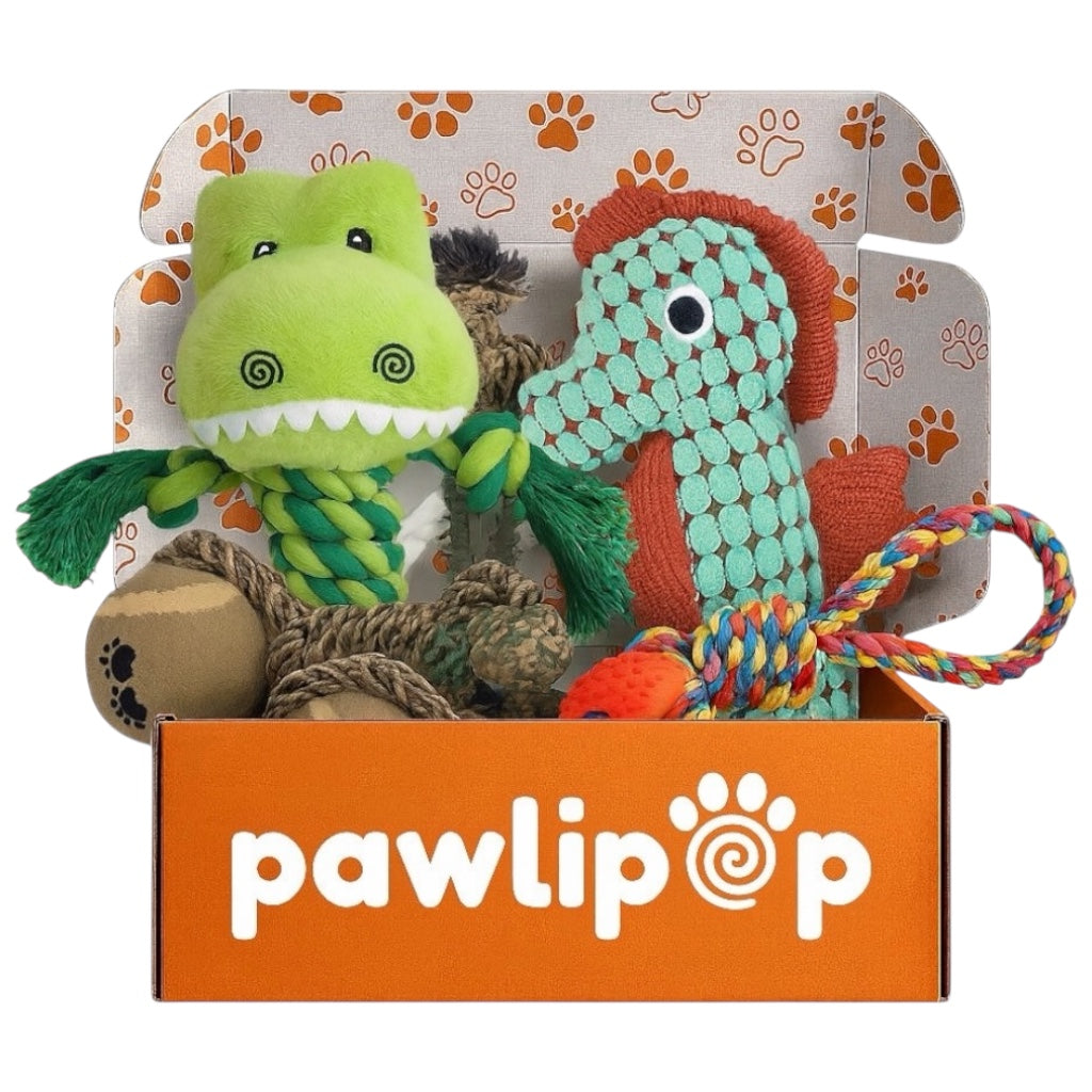 Pawlipop dog toy box  rope heaven themed with a green crocodile, seahorse, tennis ball, and ropes. Interactive, rope, plush, squeaky, and chew dog toys.