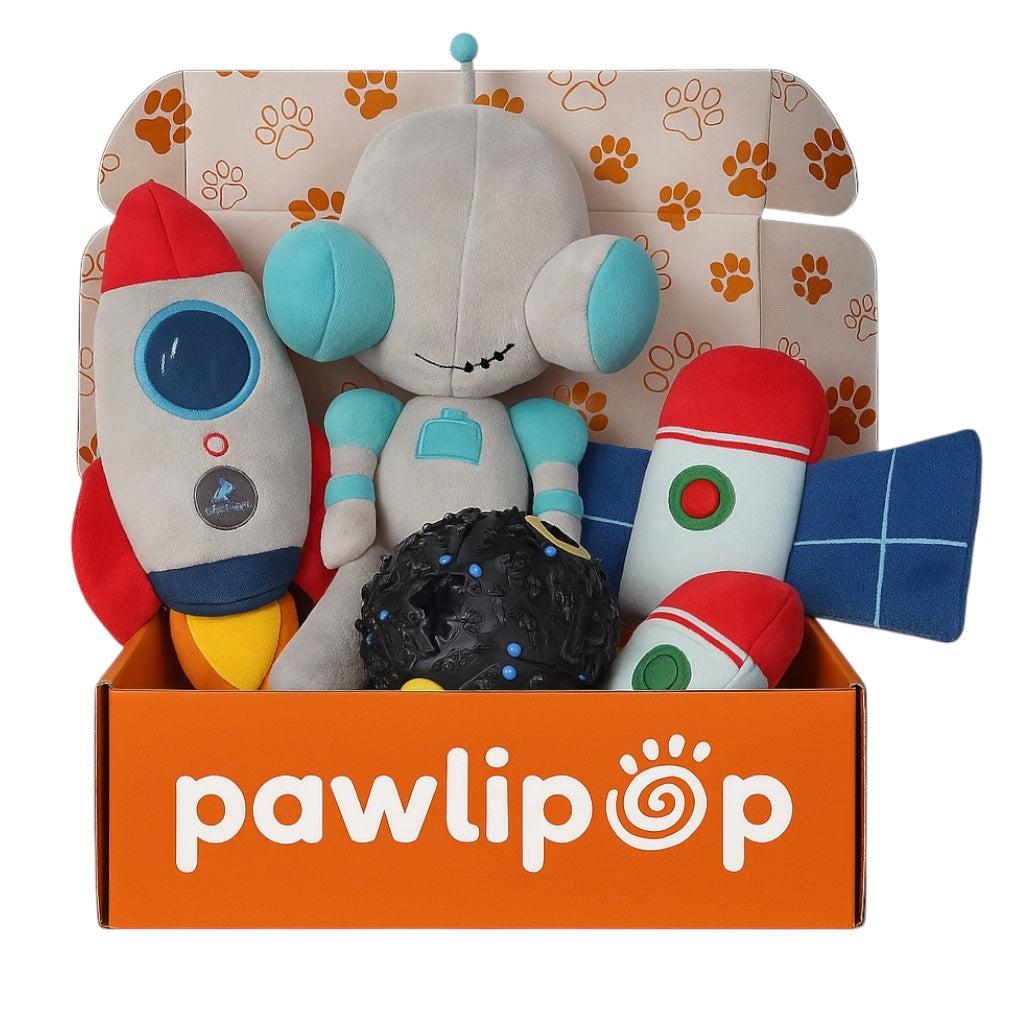 Pawlipop dog toy box space-themed with a plush robot, rocket, alien, chew ball, and satellite. Interactive, rope, plush, squeaky, and chew dog toys     