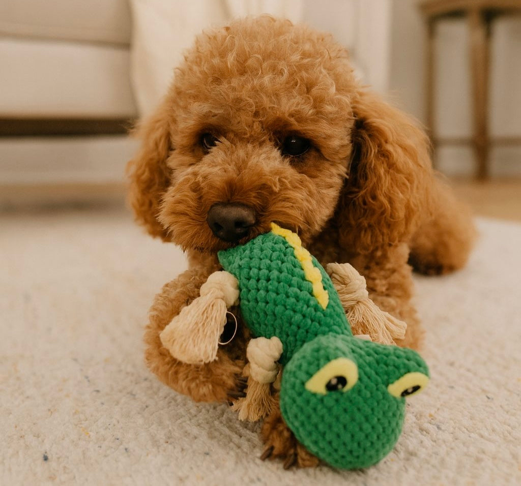 dog playing chewing with a interactive plush rope green gecko pawlipop toy 