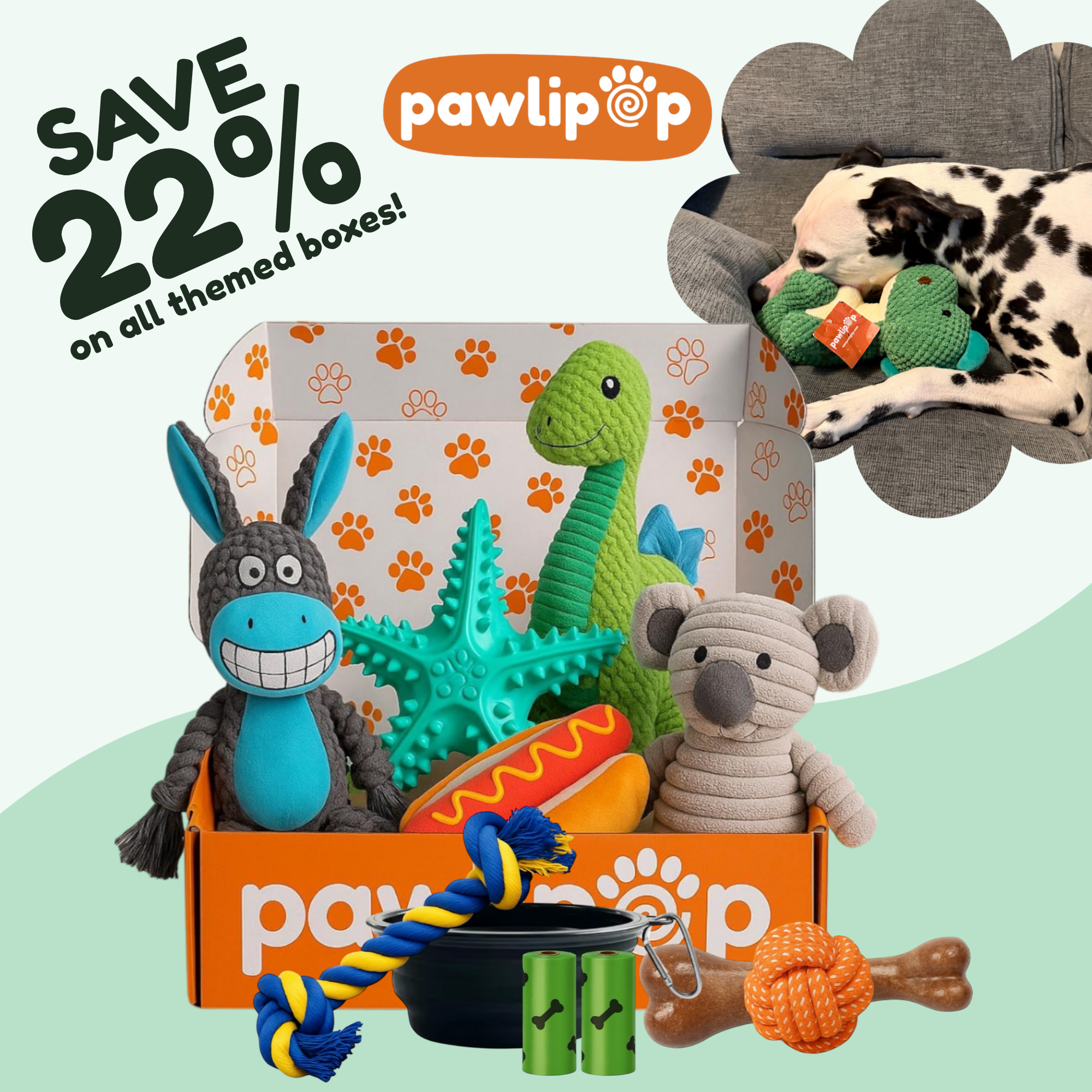 Promotion of Pawlipop Dog Toy Box