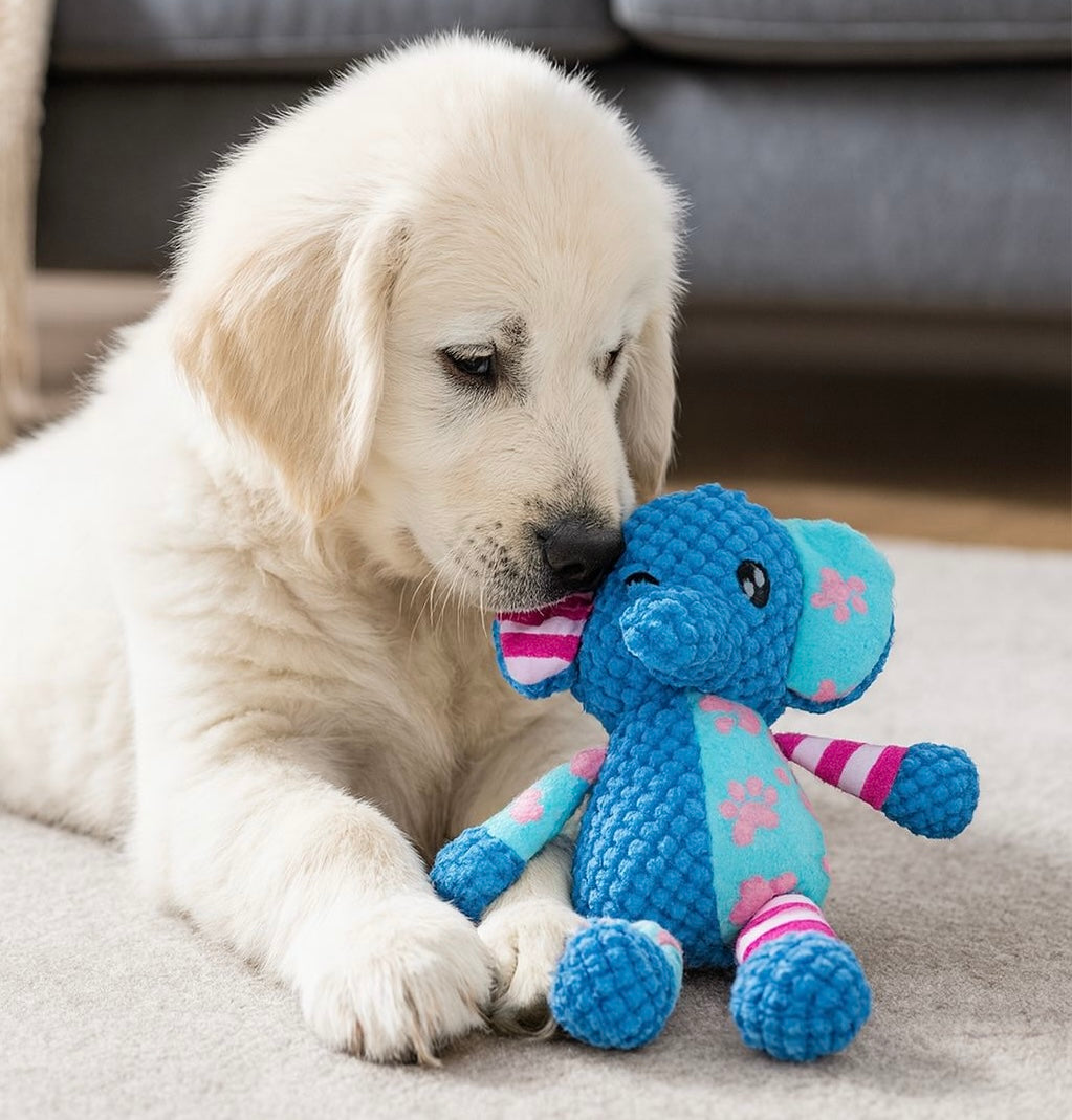 Dog playing, chewing a Pawlipop dog toy, plushie, and squeaker colorful elephant-shaped