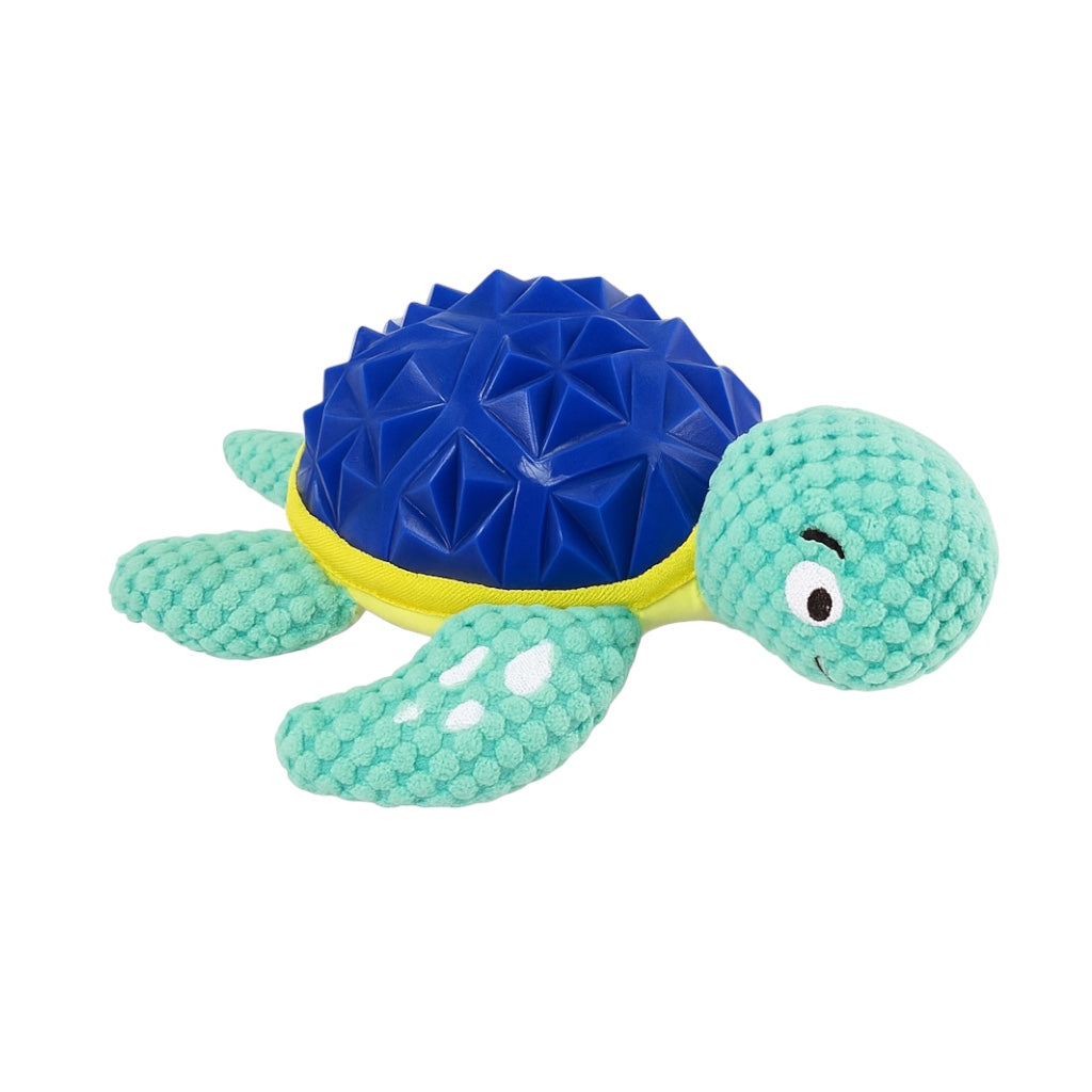 Turtle dog toy from pawlipop collection 